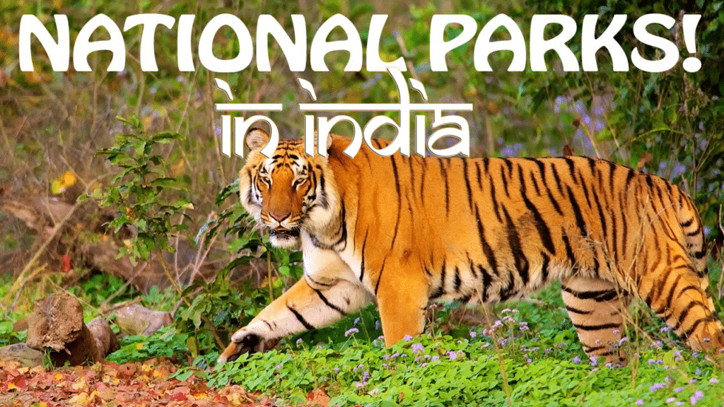 national-parks-in-india